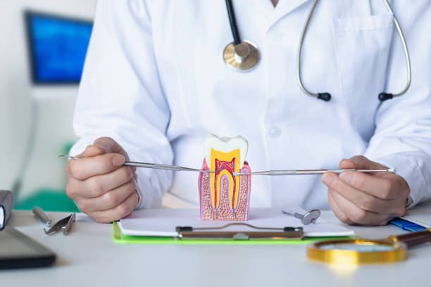 Best Weekend Emergency Dentist in Cambridge Springs, PA